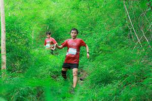 BIB: 
                            <button type="button" onclick="openModal(22091560)" class="btn btn-primary btn-sm float-right btn-popup" data-toggle="modal" data-target=".modal-high-quality">
                        <i class="fas fa-shopping-cart"></i> Add to Cart
                    </button>
                                            <button type="button" onclick="isThisMe(22091560, true)" class="btn btn-success btn-sm float-right btn-popup btn-isme hidden" data-toggle="tooltip" data-placement="bottom" title="นี่คือรูปของคุณใช่ไหม คลิกที่นี่เพื่อเอาเข้าอัลบั้ม">
                        <i class="fas fa-plus"></i> Add to album
                    </button>
                    <button type="button" onclick="isThisMe(22091560, false)" class="btn btn-warning btn-sm float-right btn-popup btn-isnotme hidden">
                        <i class="fas fa-ban"></i> Remove from album
                    </button>